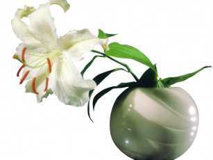 Картинка цветы лилии лилейники