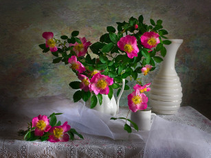 Картинка savvik *** цветы шиповник