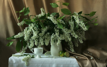 Картинка harumi saito Черёмуха цветы букеты композиции