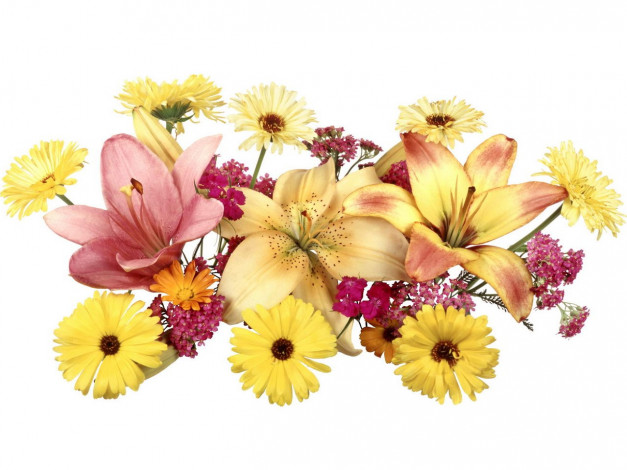 Обои картинки фото цветы, букеты, композиции