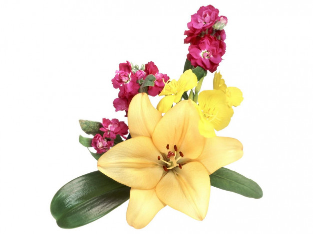 Обои картинки фото цветы, букеты, композиции