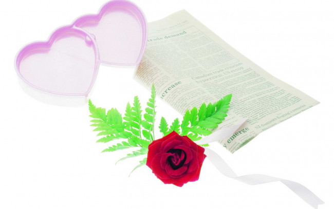 Обои картинки фото цветы, розы