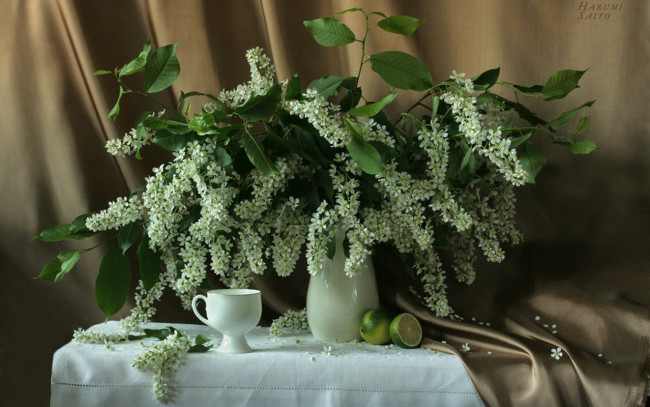 Обои картинки фото harumi, saito, Черёмуха, цветы, букеты, композиции