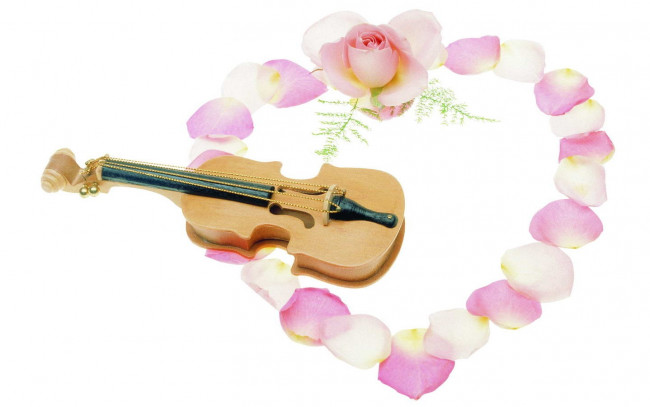 Обои картинки фото музыка, музыкальные, инструменты, скрипка