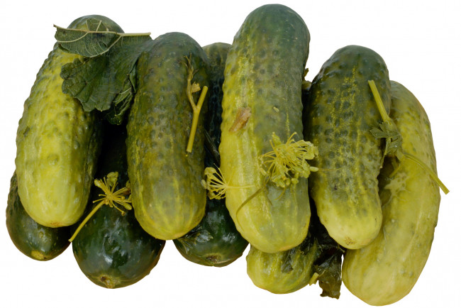 Обои картинки фото еда, огурцы