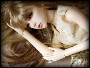 Картинка разное игрушки кукла