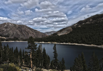 Картинка tioga lake yosemite природа реки озера озеро горы