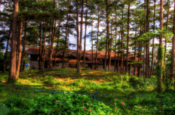 Картинка разное сооружения постройки деревья природа