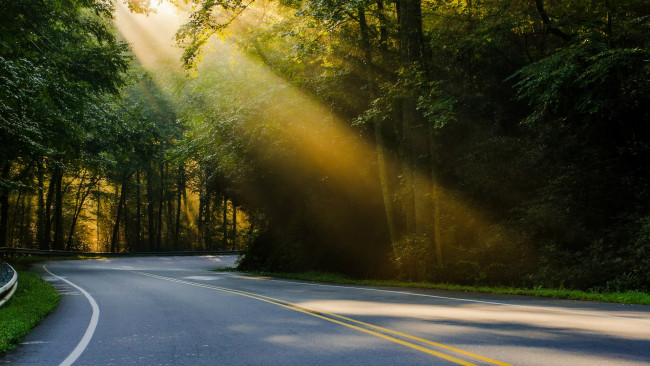 Обои картинки фото природа, дороги, лучи