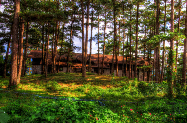 Обои картинки фото разное, сооружения, постройки, деревья, природа