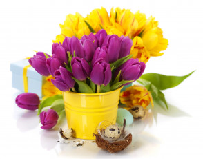 Картинка цветы тюльпаны букеты