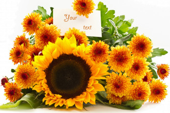 Картинка цветы разные+вместе белый фон букет подсолнух хризантема открытка