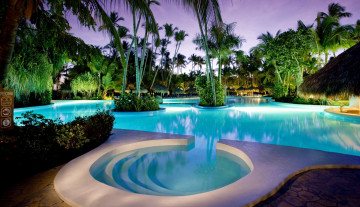 Картинка интерьер бассейны +открытые+площадки тропики пальмы