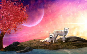 Картинка разное компьютерный+дизайн дерево волки планеты