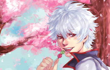 Картинка аниме gintama мужчина самурай гинтама данго sakata gintoki сакура дерево