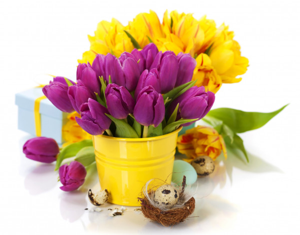 Обои картинки фото цветы, тюльпаны, букеты