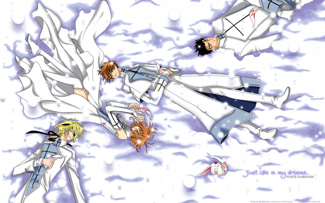 Обои картинки фото аниме, tsubasa reservoir chronicles, сон, перья, снег, kurogane, fay, d, flourite, люди, mokona, sakura, syaoran