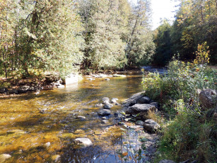 Картинка природа реки озера лето река камни