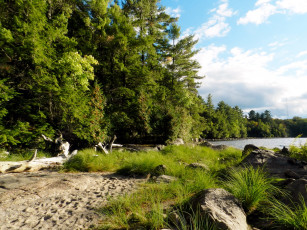 Картинка природа реки озера трава камни