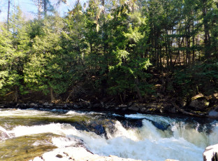 Картинка природа реки озера бурная река