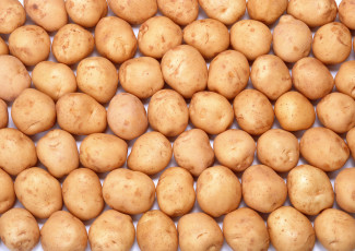 Картинка еда картофель картошка