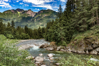 Картинка природа реки озера река лес