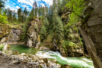 Картинка природа реки озера река лес