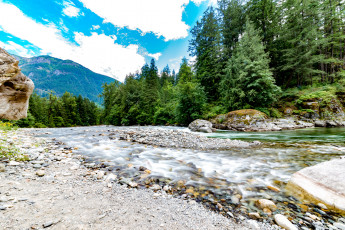 Картинка природа реки озера река лес