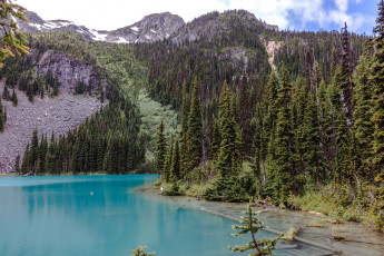 Картинка природа реки озера река лес