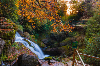 Картинка природа водопады водопад река лес