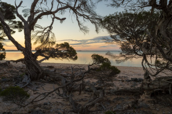 Картинка природа побережье берег море