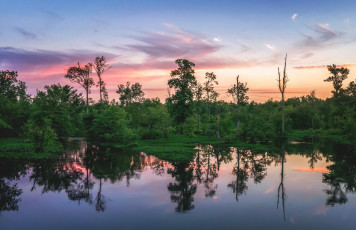 Картинка природа реки озера река лес