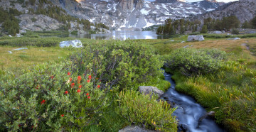 Картинка природа реки озера река лес