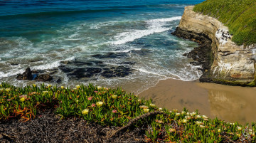 Картинка природа побережье берег море