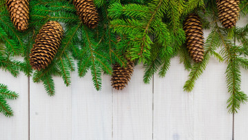 Картинка праздничные -+разное+ новый+год ветки шишки