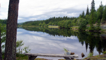 Картинка природа реки озера простор скамейка река