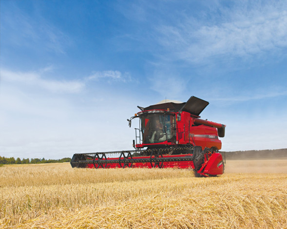 Обои картинки фото техника, комбайны, case