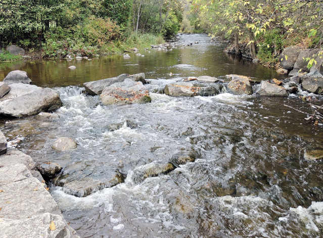 Обои картинки фото природа, реки, озера, река, вода, камни, пороги