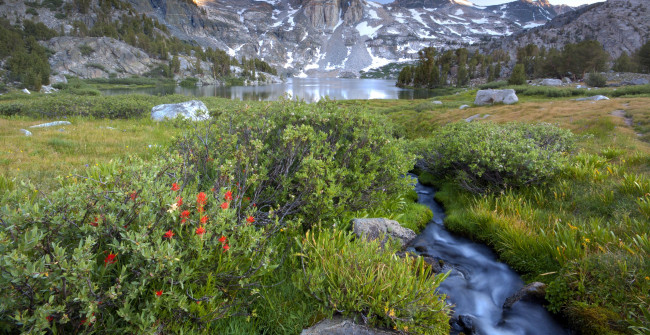 Обои картинки фото природа, реки, озера, река, лес