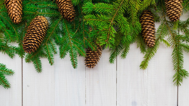 Обои картинки фото праздничные, - разное , новый год, ветки, шишки