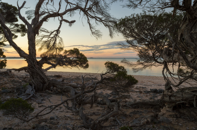 Обои картинки фото природа, побережье, берег, море