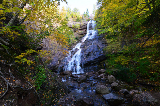 Обои картинки фото природа, водопады, водопад, река, лес