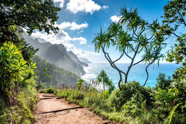 Обои картинки фото природа, побережье, берег, море