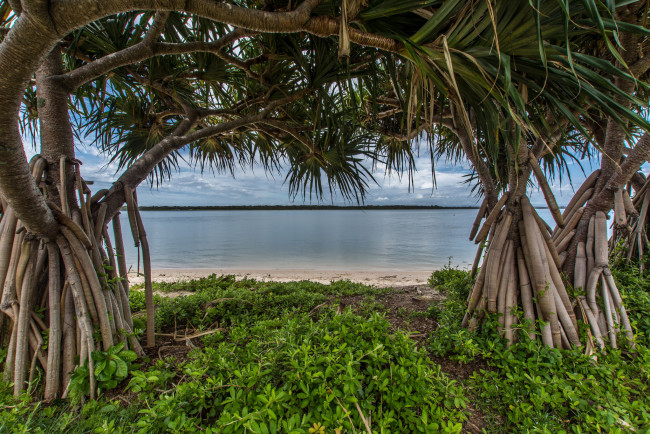 Обои картинки фото природа, реки, озера, река, лес