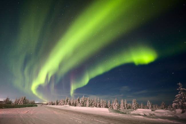 Обои картинки фото природа, северное сияние, лес, снег, деревья, небо, звёзды, северное, сияние, зима