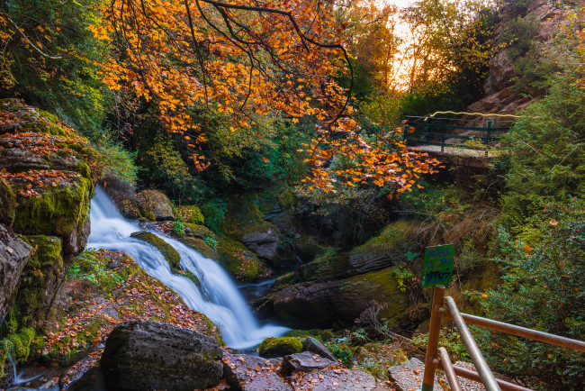 Обои картинки фото природа, водопады, водопад, река, лес