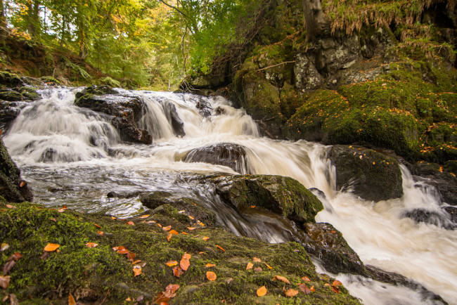 Обои картинки фото природа, водопады, водопад, река, лес