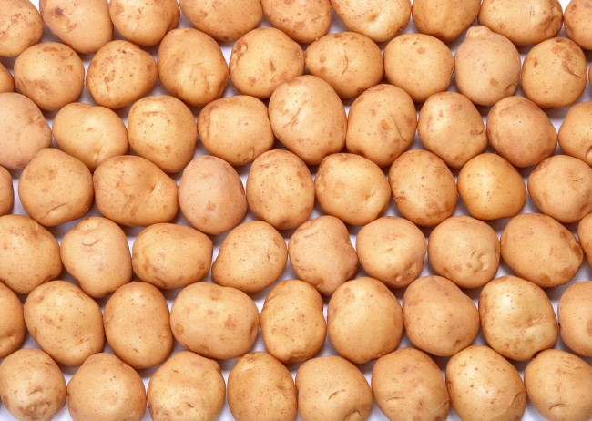 Обои картинки фото еда, картофель, картошка