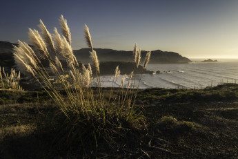 Картинка природа побережье простор