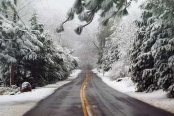 Картинка природа дороги простор